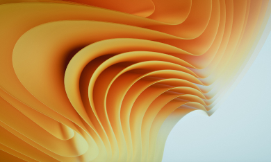 Network Services Video