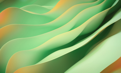 Network Services Video