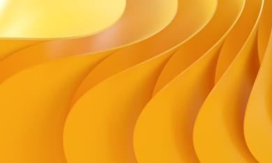 Network Services Video