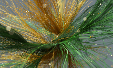 leadingtheway-1201792419-300p