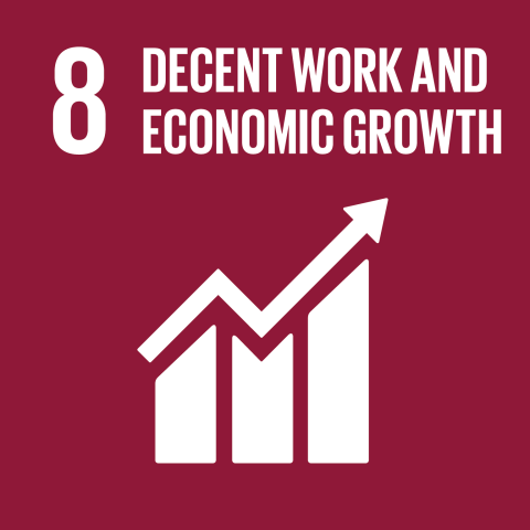 sustainable_development_goal_8